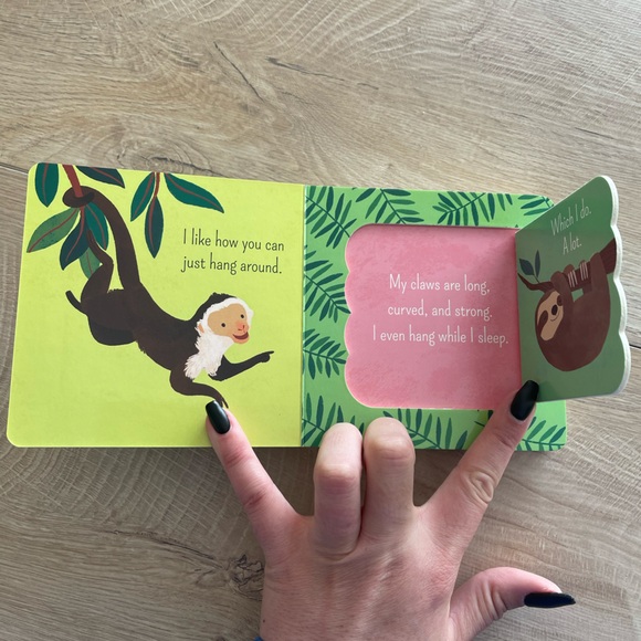 What Is a Sloth Children’s Book - Picture 2 of 4